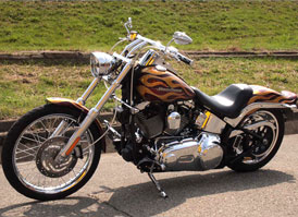 Softail All Paint