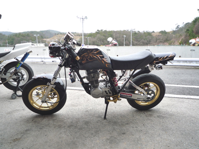 gVq̃GCv