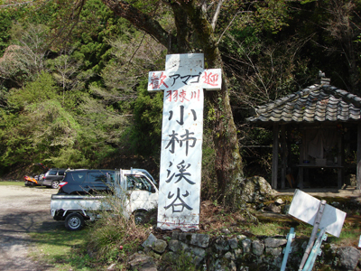 お魚釣りです