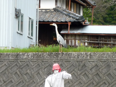 あれれ…