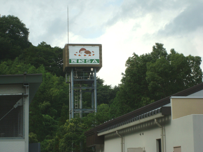 ちょっと迷ったけど…