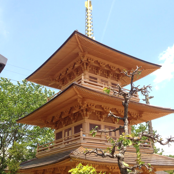 image12