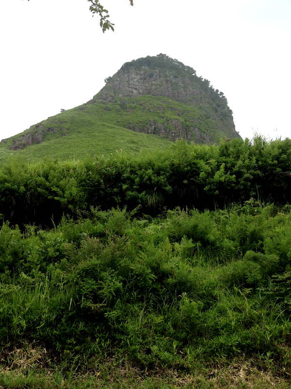 image71