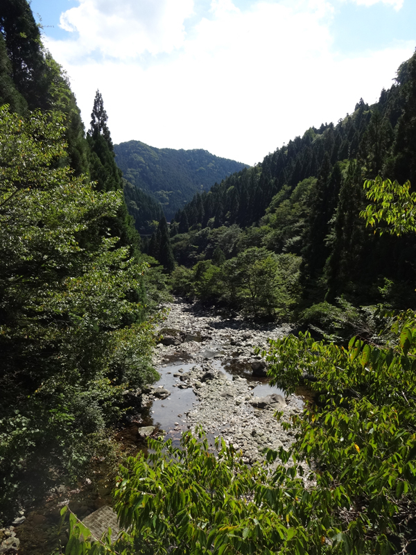 image02