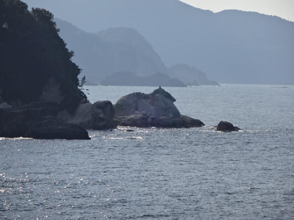 image37
