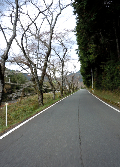 image03