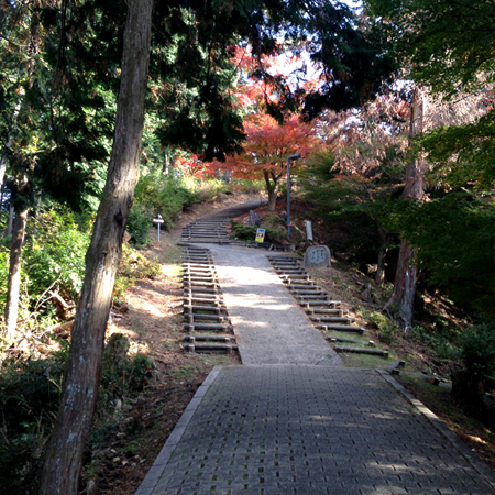 image05