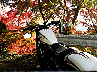 ひとりプラっと紅葉ツーリング!!