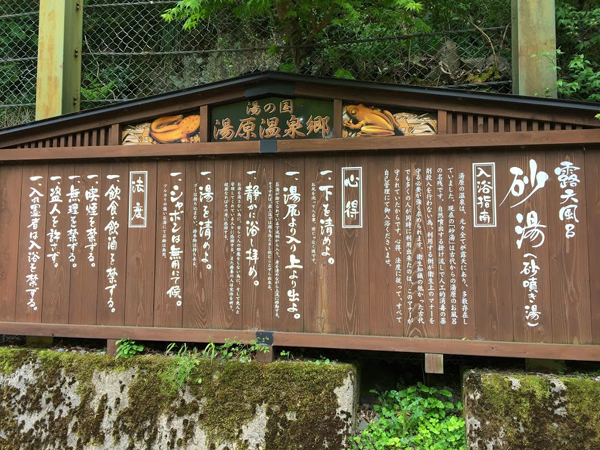 image12