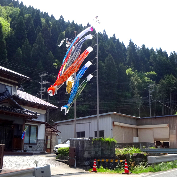 image06