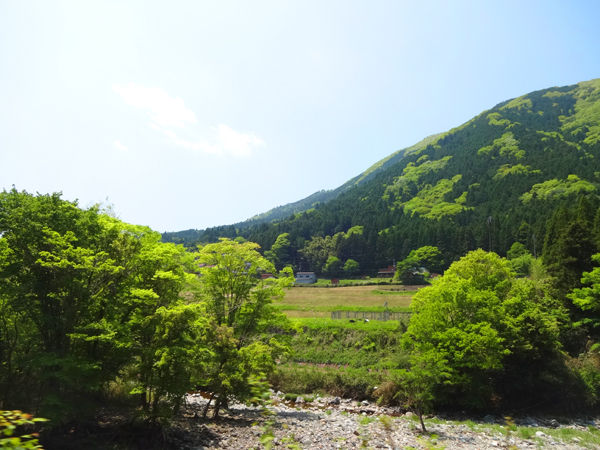 image02