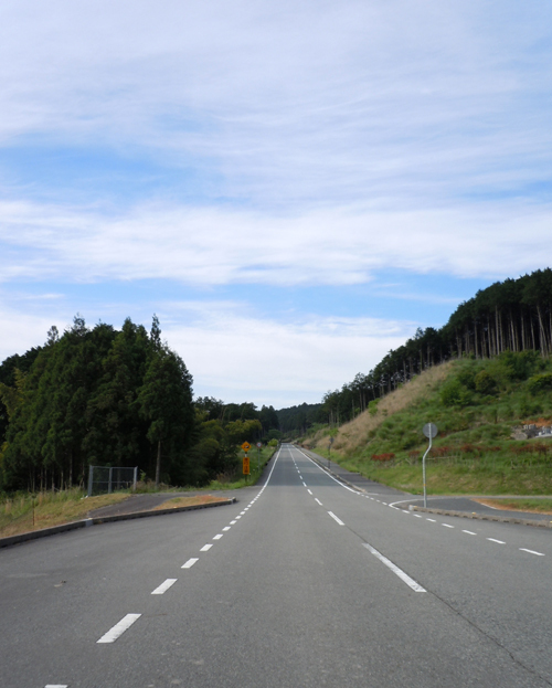 image11