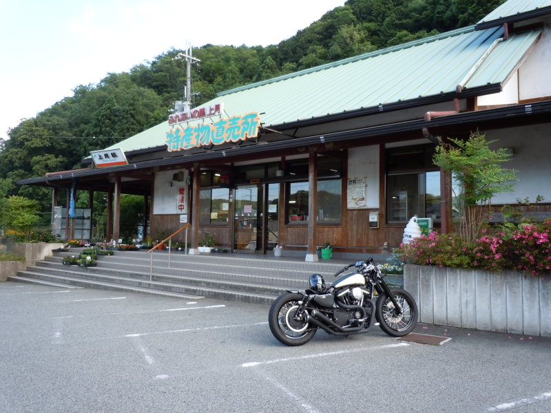 image66