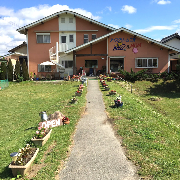 image12