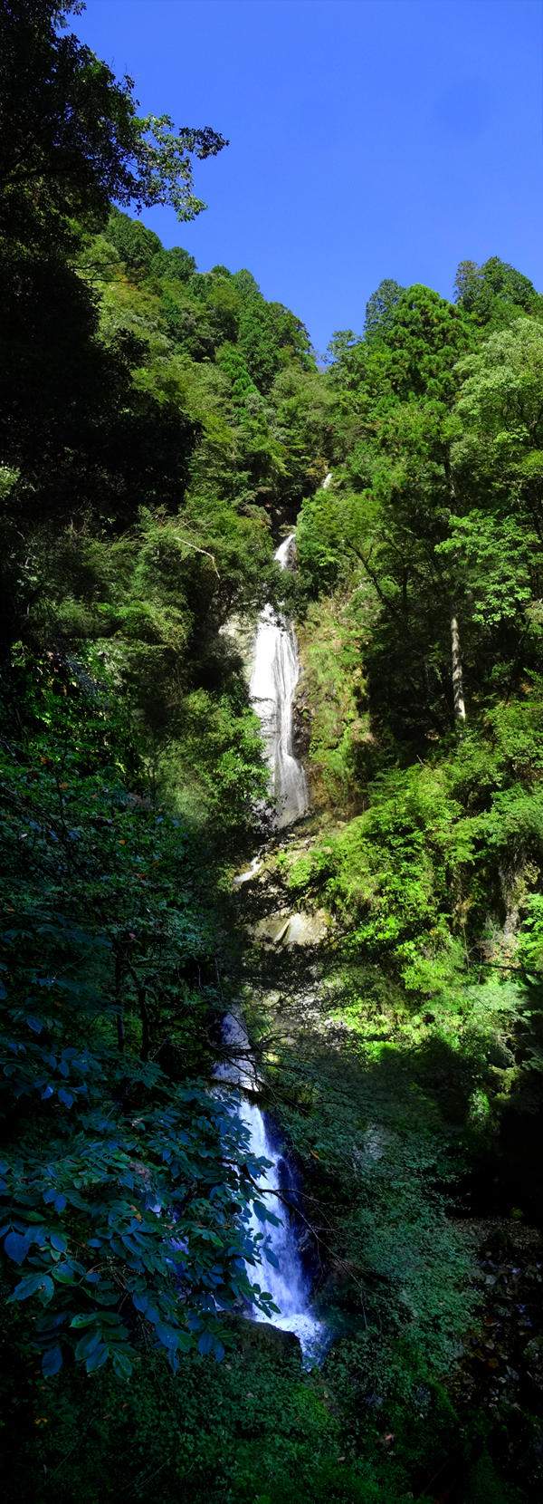 image10