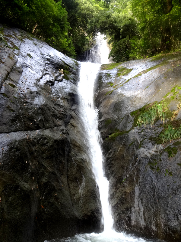 image46
