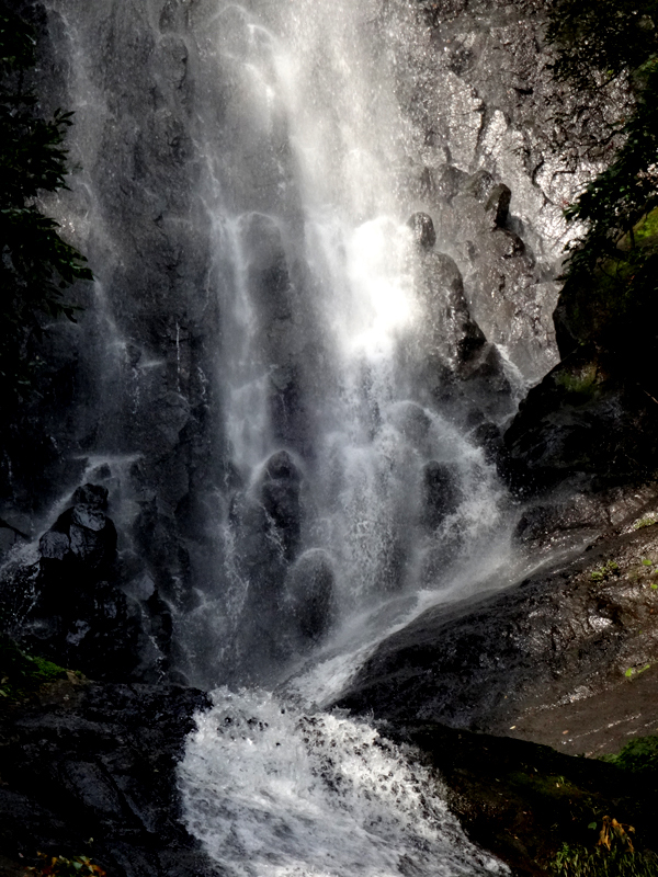 image47