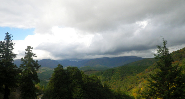 image36