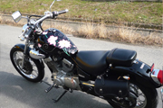 r[S250̃^NyCg