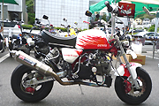 TOYOTA FPJ[