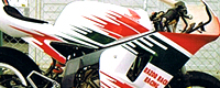 NSR50yCg 厡YvJ