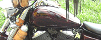 VhE400yCg uE/tCX
