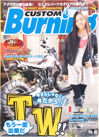CUSTOM Burning 2010 6