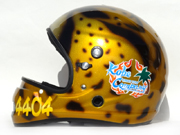  Cheetah-02