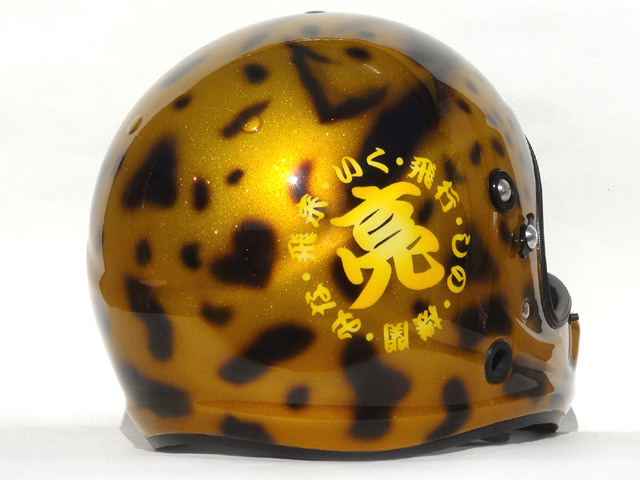 cheetah03