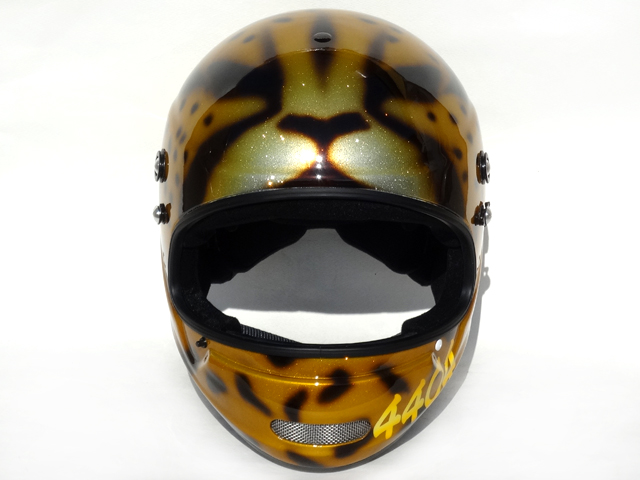 cheetah04
