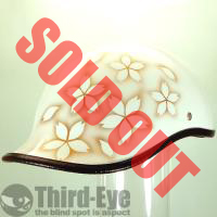 GS0011 TN zCg