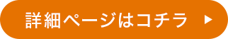 ڍ׃y[W̓R`
