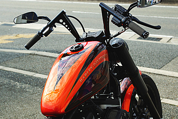 X|[cX^[ 2010N XL883N 02
