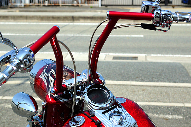 \teC 2000N FLSTF BAGGER STYLE 07