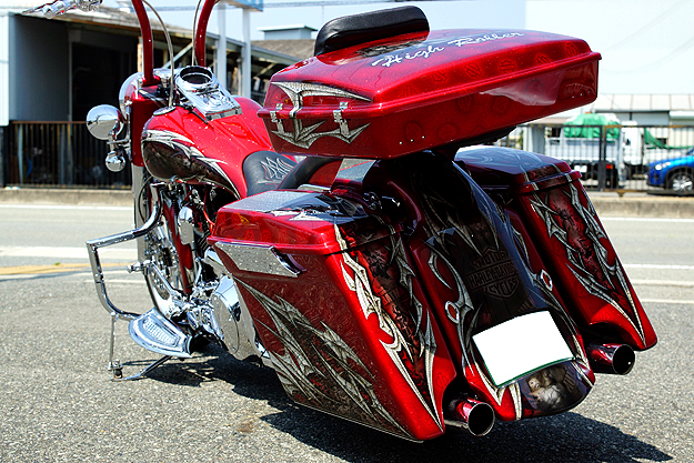 \teC 2000N FLSTF BAGGER STYLE 09