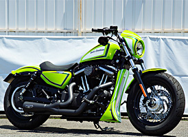 XL1200X 2014N X|[cX^[