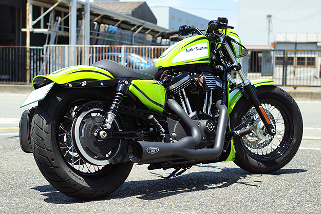 X|[cX^[ 2014N XL1200X 11