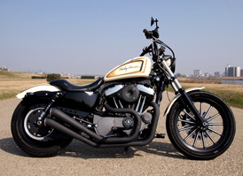 XL1200N Night Star All Paint